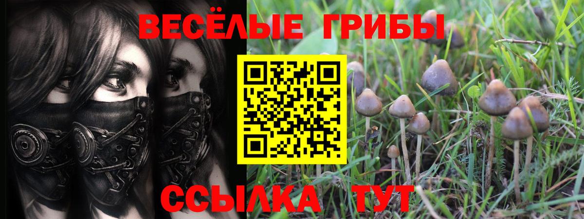Псилоцибиновые грибы ЛСД Ивантеевка