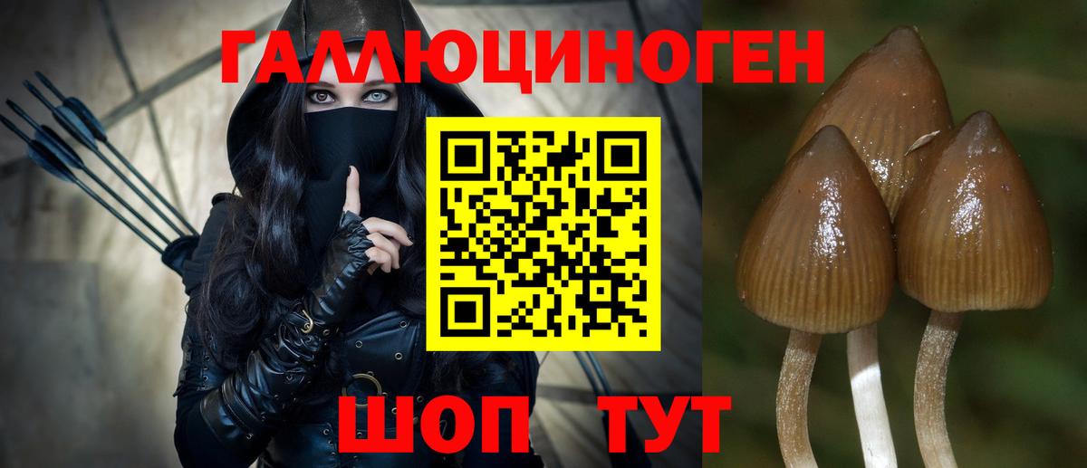 Псилоцибиновые грибы ЛСД  Вход с VPN  Ивантеевка 